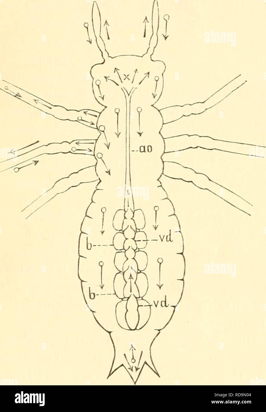 Page 5 Liebe Ist Liebe High Resolution Stock Photography And Images Alamy