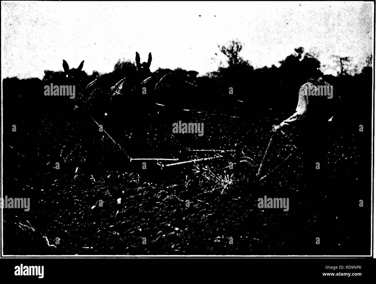 Half and half wheat field Black and White Stock Photos & Images - Alamy
