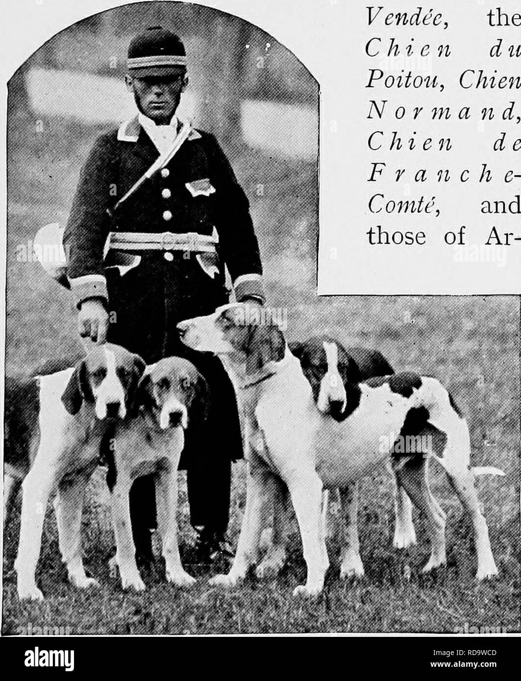 The new book of the dog; a comprehensive natural history of British dogs  and their foreign relatives, with chapters on law, breeding, kennel  management, and veterinary treatment. Dogs. FRENCH AND OTHER