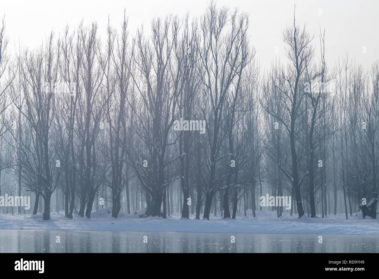 Frozen lake in forest. winter lake under snow Stock Photo - Alamy