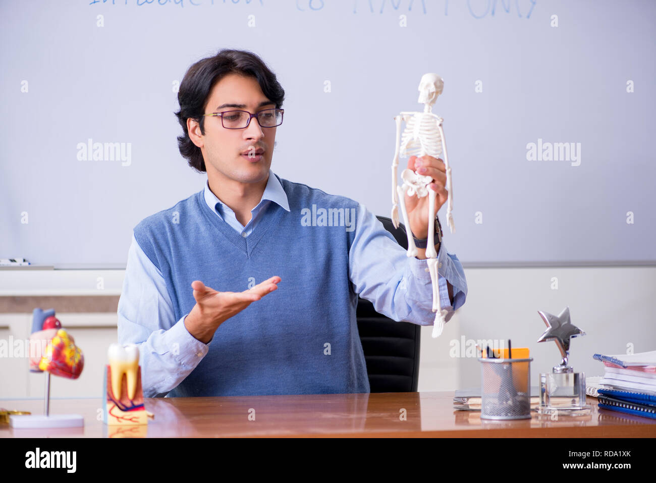 Young lecturer teacher teaching anatomy Stock Photo Alamy