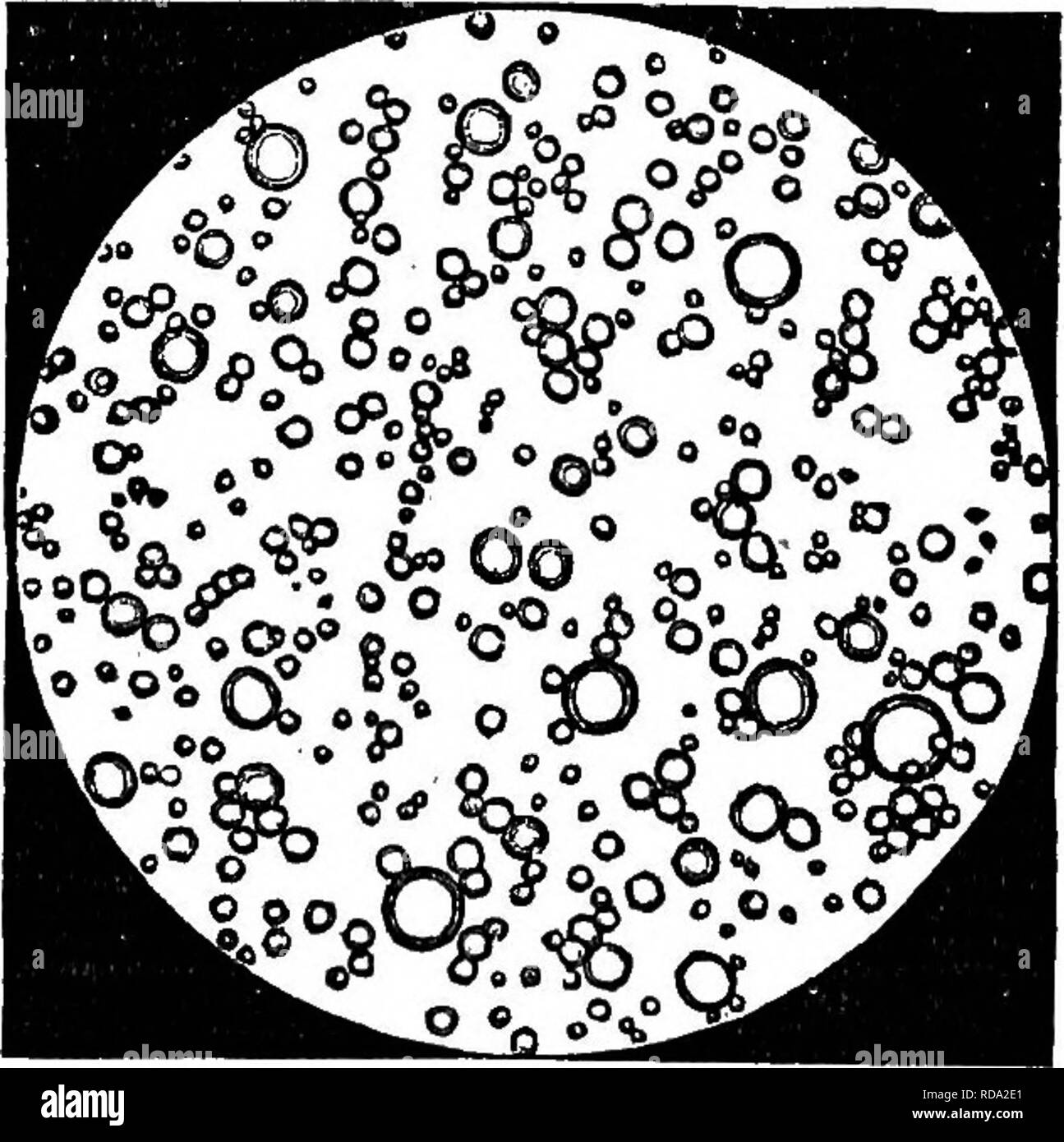 . Chemical and physical analysis of milk, condensed milk, and infants ...