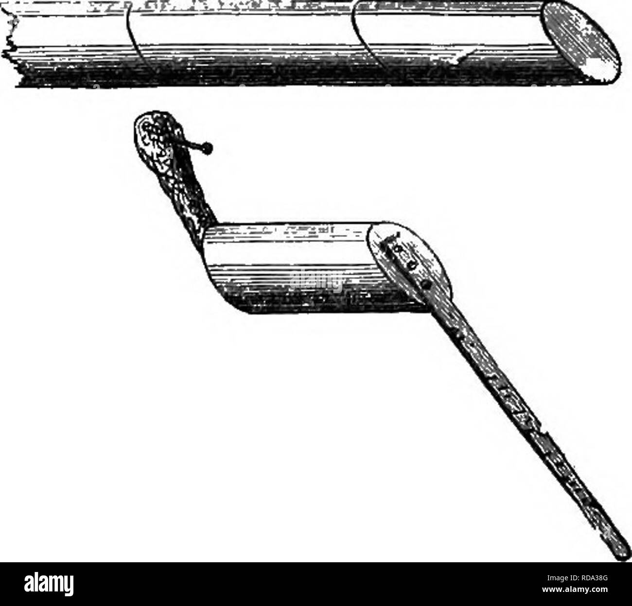 Pheasat hires stock photography and images Alamy