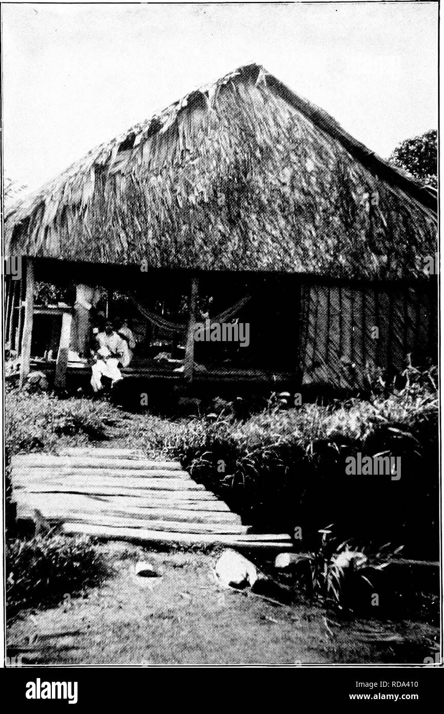 . Our search for a wilderness; an account of two ornithological expeditions to Venezuela and to British Guiana. Natural history; Birds. 136 OUR SEARCH FOR A WILDERNESS.. Fig. 68. Typical Indian House at Morawhanna.. Please note that these images are extracted from scanned page images that may have been digitally enhanced for readability - coloration and appearance of these illustrations may not perfectly resemble the original work.. Beebe, Mary; Beebe, William, 1877-1962, joint author. London, Constable Stock Photo