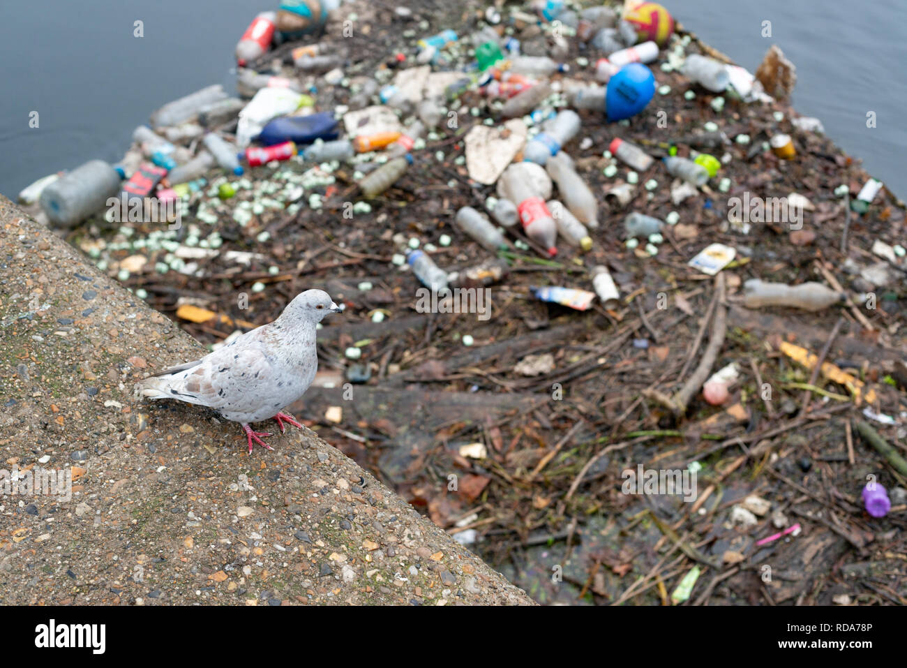Discarded rubbish found along the River Lea in London, UK Stock Photo