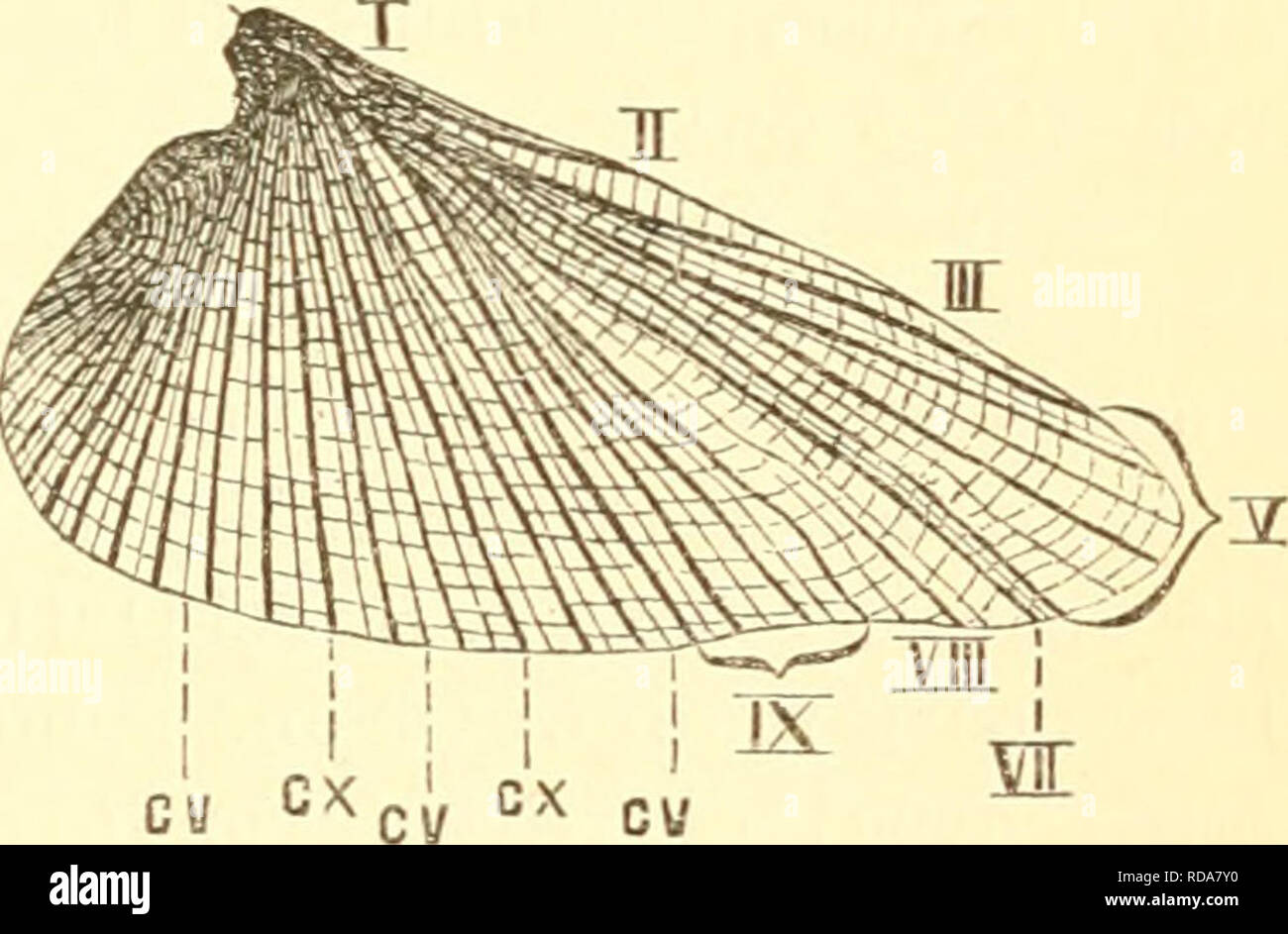 Page 16 In Der Luft High Resolution Stock Photography And Images Alamy
