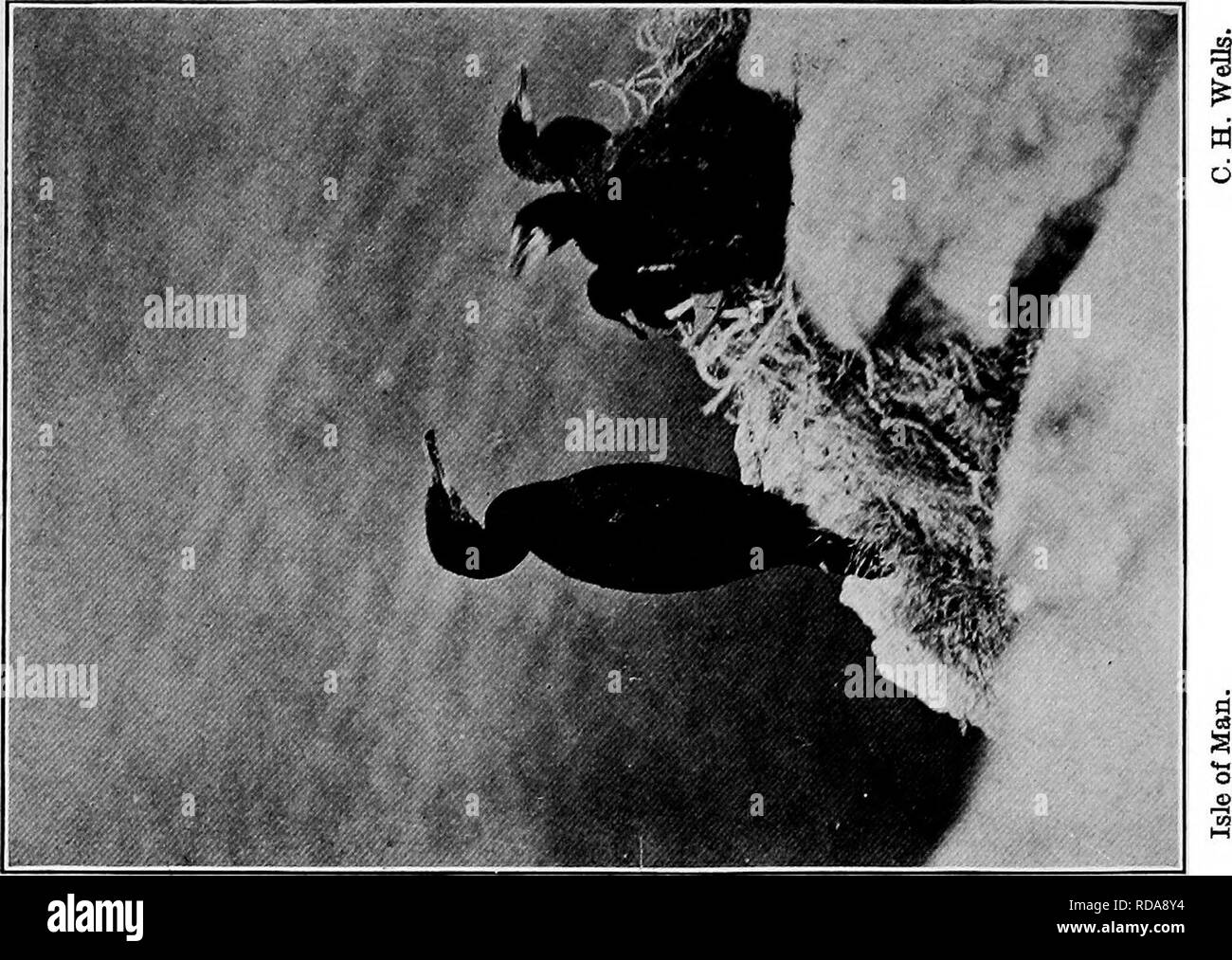 Page 157 T O P High Resolution Stock Photography And Images Alamy