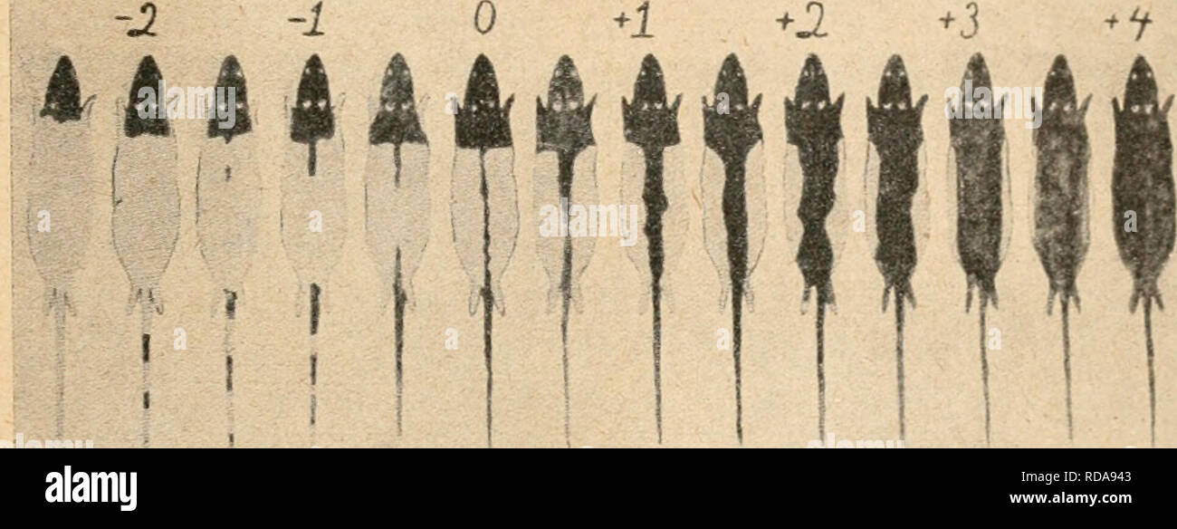 Selektionen hires stock photography and images Alamy