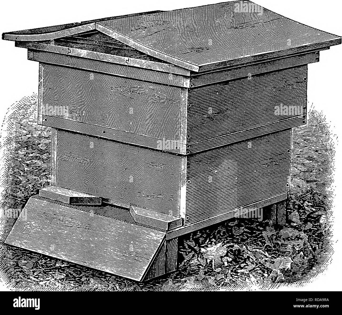 . Langstroth on the hive &amp; honey bee. Bees. 166 THE BEE-HIVES. front, to shed the rain and better protect the colony against ants and moths. It projects forward three inches, at least, to support an adjustable entrance-block. Some Apiarists use a tin slide, instead of an entrance-block. We object to it, because, if glued by bees it may be bent in handling, and if it is mislaid, it cannot always be promptly replaced; while. Fig. 74. DADANT HIVE, SETTING FLAT ON THE BOTTOM. any square wooden-block can take the place of the entrance- block, if necessary. 343. The apron, or slanting-board, hel Stock Photo