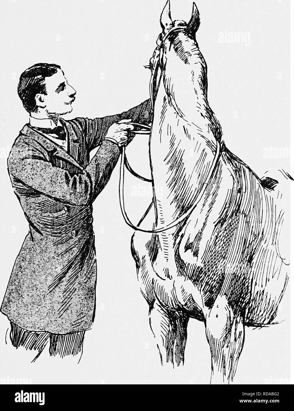 . Breaking and riding, with military commentaries. Horses; Horsemanship