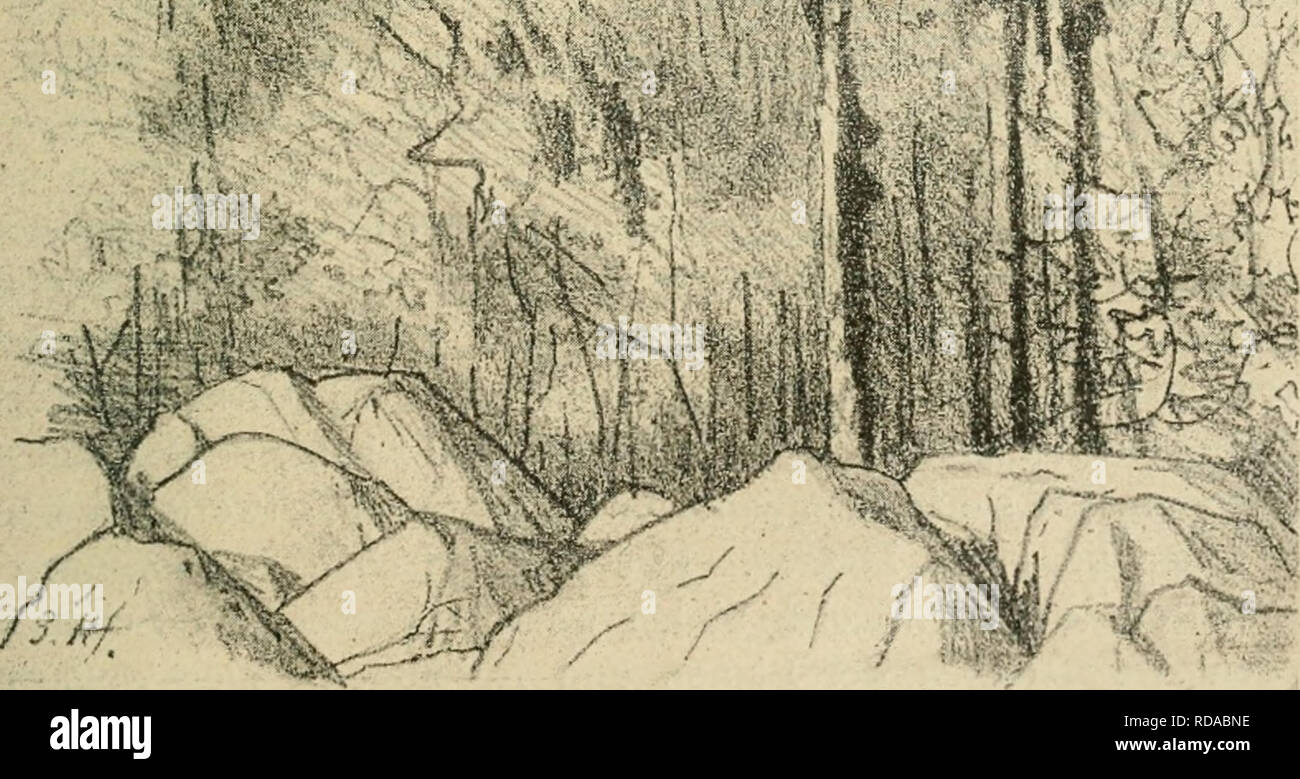 . Eine botanische Tropenreise, indo-malayische Vegetationsbilder und Reiseskizzen. Plants; Plants; Voyages and travels. â 1 *l '^^. Fig. 50. Moosbewachsene BÃ¤ume bei Lebak-saat (2135 m).. Please note that these images are extracted from scanned page images that may have been digitally enhanced for readability - coloration and appearance of these illustrations may not perfectly resemble the original work.. Haberlandt, Gottlieb, b. 1854. Leipzig, W. Engelmann Stock Photo