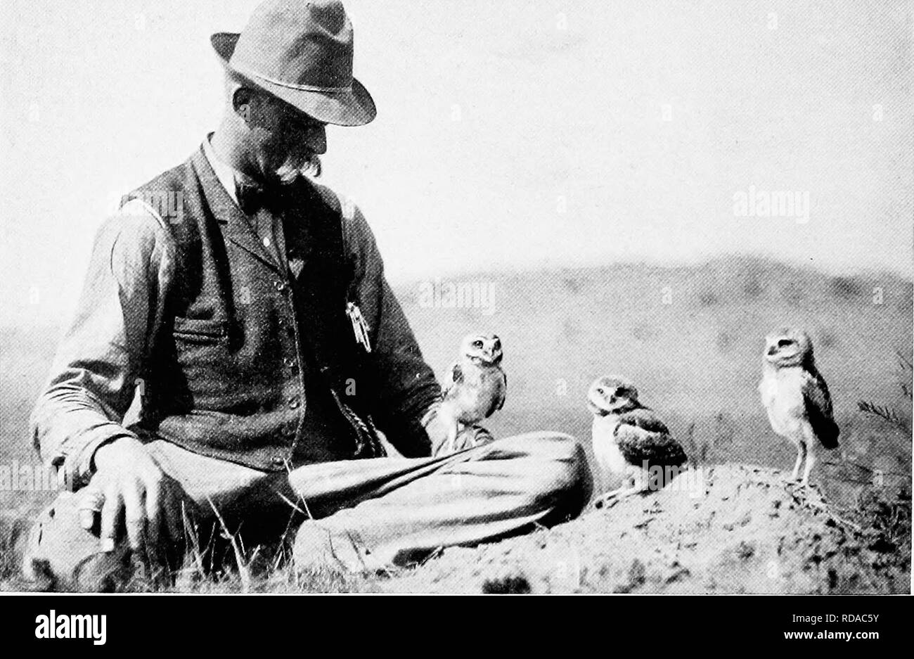 Articles about birds from National geographic magazine]. Birds. 196 THE NATIONAL  GEOGRAPHIC MAGAZINE. MAKING FRIENDS WITH YOUNG BURROWING OWLS These are  most valuable birds in the farming districts of the West,