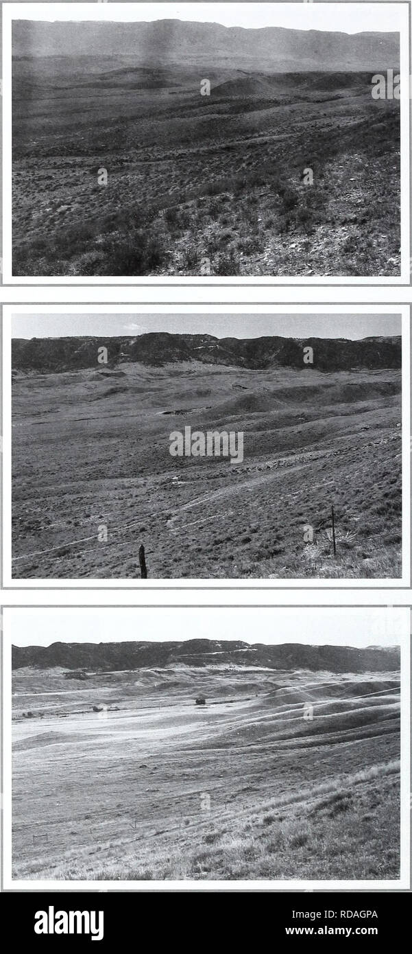. Eighty years of vegetation and landscape changes in the Northern Great Plains : a photographic record. Range plants; Landscape; Botany; forbs; grasses; landscapes; botanical composition; shrubs; trees. Original Photograph August 21, 1916. Shantz N-2-1916. Facing south. First Retake and Description July 7, 1959. W.S.P., J-9-1959. The original picture has much Artemisia spp. and Koeleria cristata. In the retake the Artemisia has lessened and there is more grass covering. Koeleria cristata is abundant and also Stipa comata (from Phillips 1963, p. 157). Second Retake August 4, 1998. Kay-4360-5.. Stock Photo