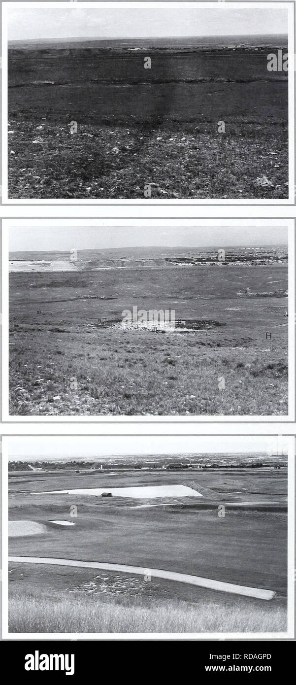 . Eighty years of vegetation and landscape changes in the Northern Great Plains : a photographic record. Range plants; Landscape; Botany; forbs; grasses; landscapes; botanical composition; shrubs; trees. Original Photograph August 20. 1916. Shantz 1916. Facing M-ll north-northwest First Retake and Description July 7. 1959. W.S.P., J-4-1959. The original picture shows Koeleria cristata and Carexfiltfolia as the main plants. The same plants are present in the retake, although Stipa spp. is very abundant (from Phillips 1963, p. 155). Second Retake August 4, 1998. Kay-4360-18.. 70. Please note tha Stock Photo