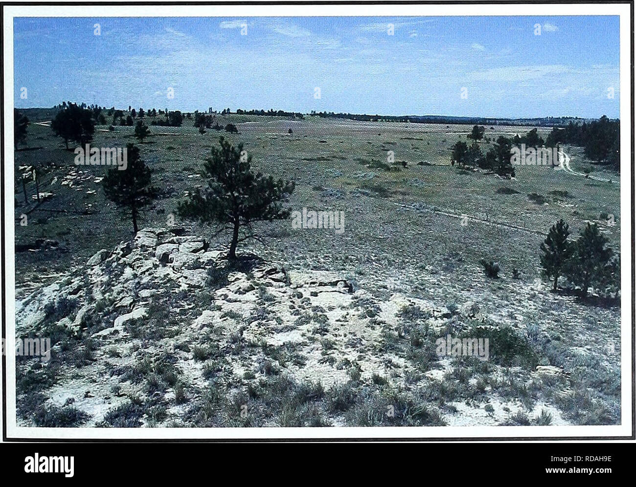 Eighty years of vegetation and landscape changes in the Northern Great  Plains : a photographic record. Range plants; Landscape; Botany; forbs;  grasses; landscapes; botanical composition; shrubs; trees. Roundup, Montana  Location Musselshell