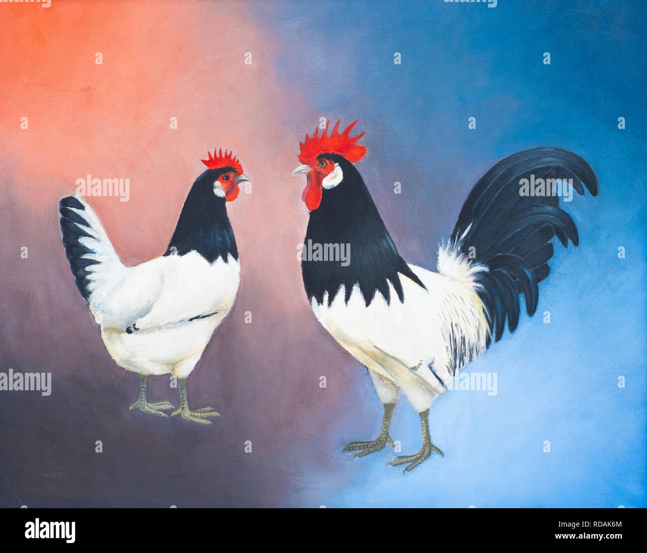 hand-painted oil painting of a rooster and chicken of the same breed with black head and tail and a white body against a colored background Stock Photo