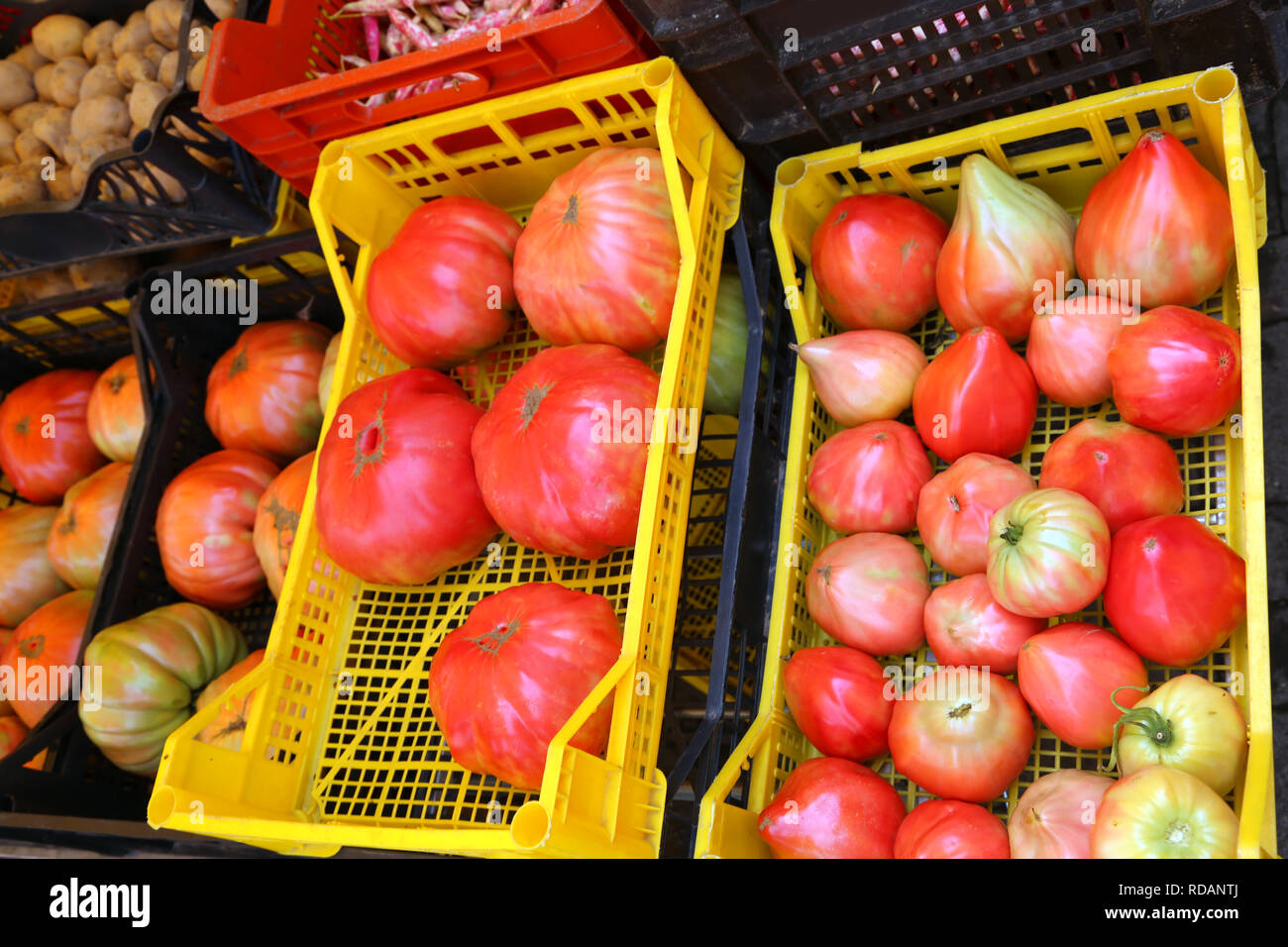 red ripe tomatos in the boxes for sale at organic fruits market Stock ...