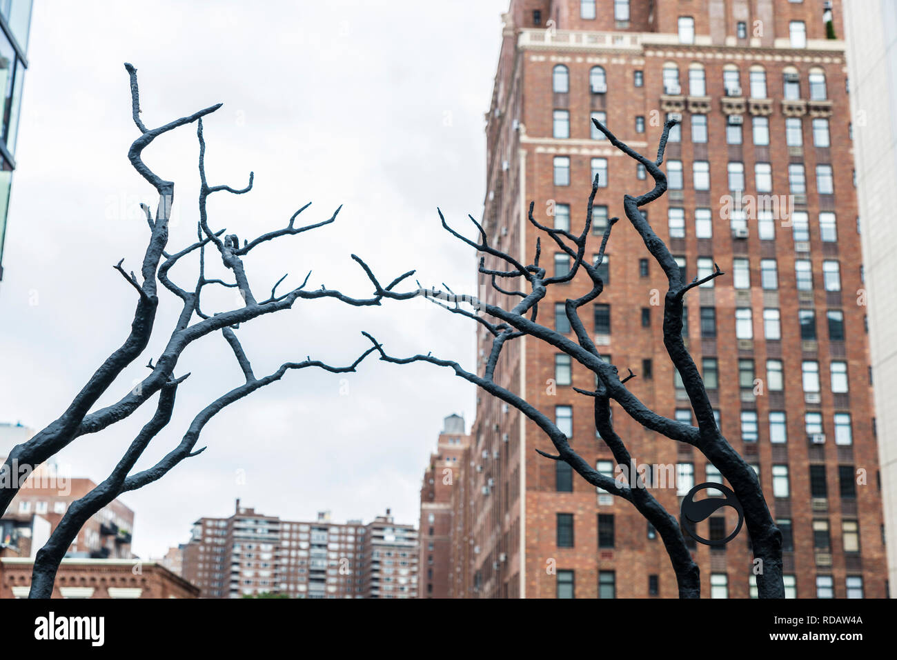 Tree branches touching in High Line Elevated Park, elevated linear park