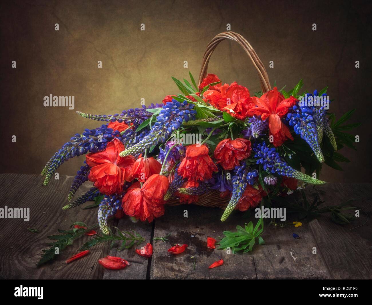 Still life with bouquet of red poppies Stock Photo - Alamy