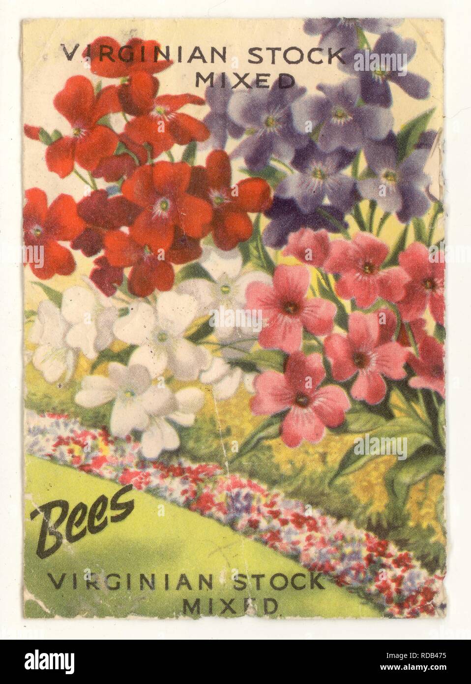 Vintage Bee's Seeds packet, Virginian Stock Mixed Flowers, Liverpool, U.K. , 1930's /1940's / 1950's Stock Photo