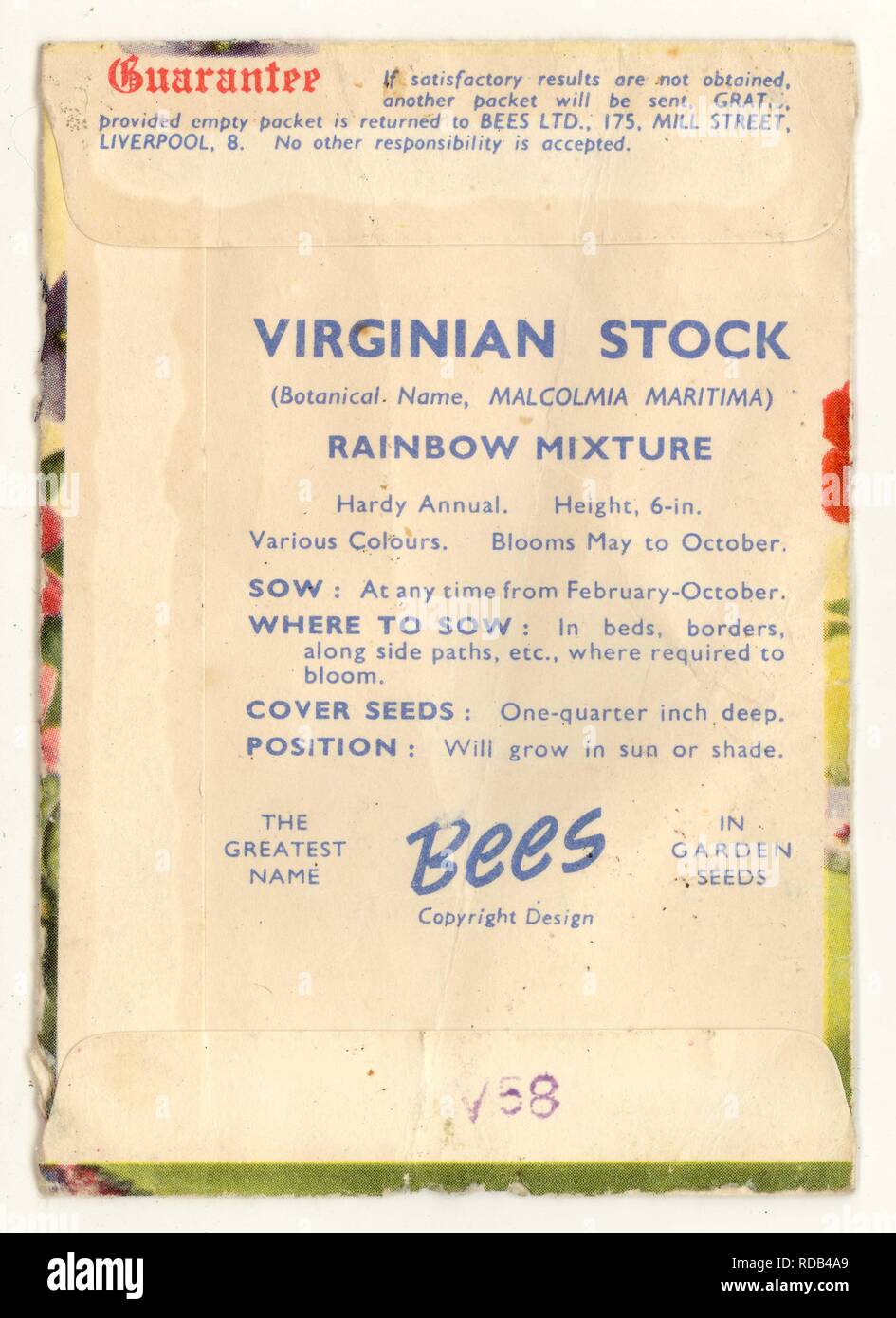 Reverse of vintage Bee's Seeds packet, Virginia Stock Mixed Flowers, Liverpool, U.K. Stock Photo