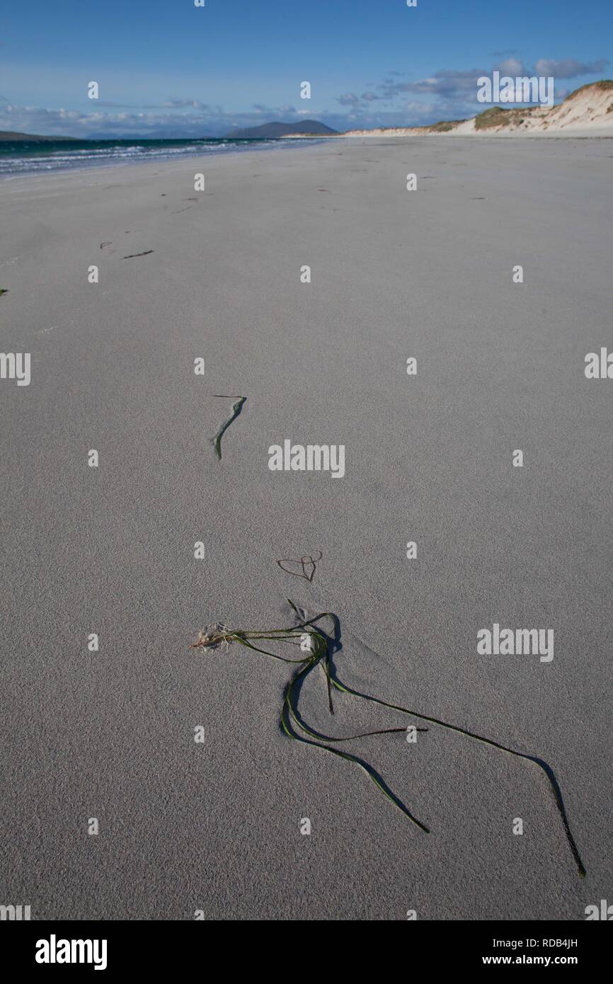 West beach , white beach at low tide ,Atlantic facing beach Stock Photo