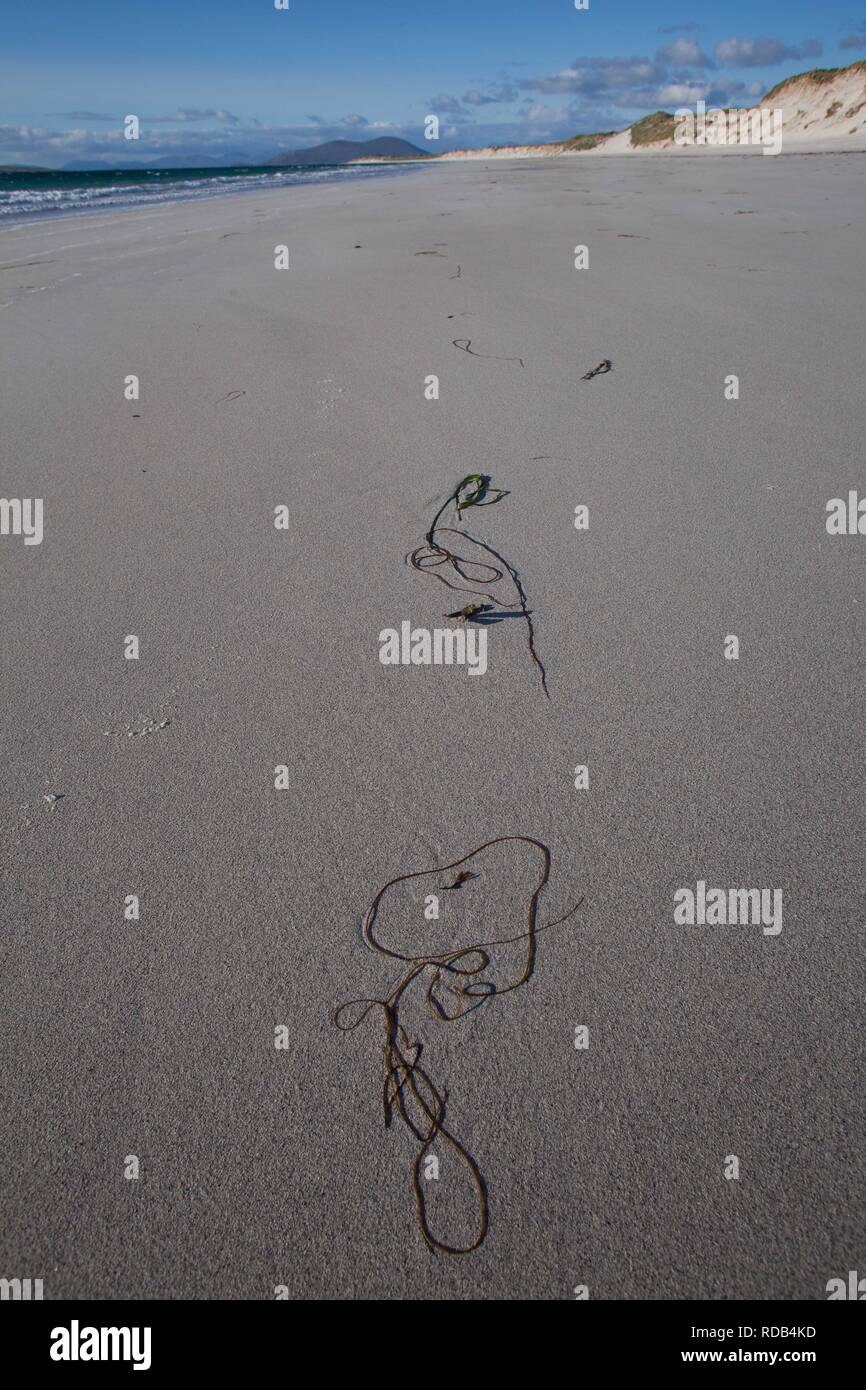 West beach , white beach at low tide ,Atlantic facing beach Stock Photo