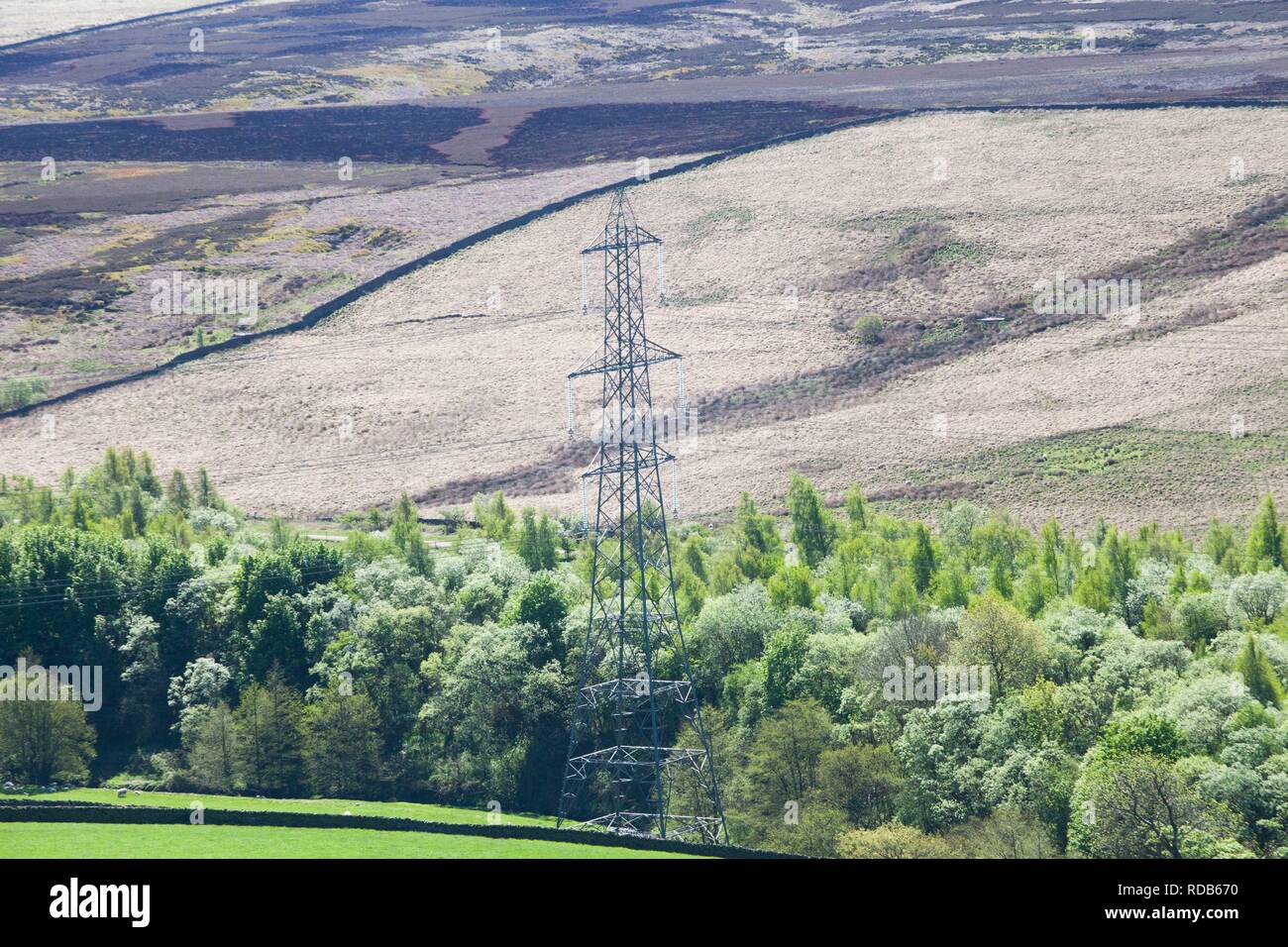 Electricity pylons , due to removed with the power lines put under