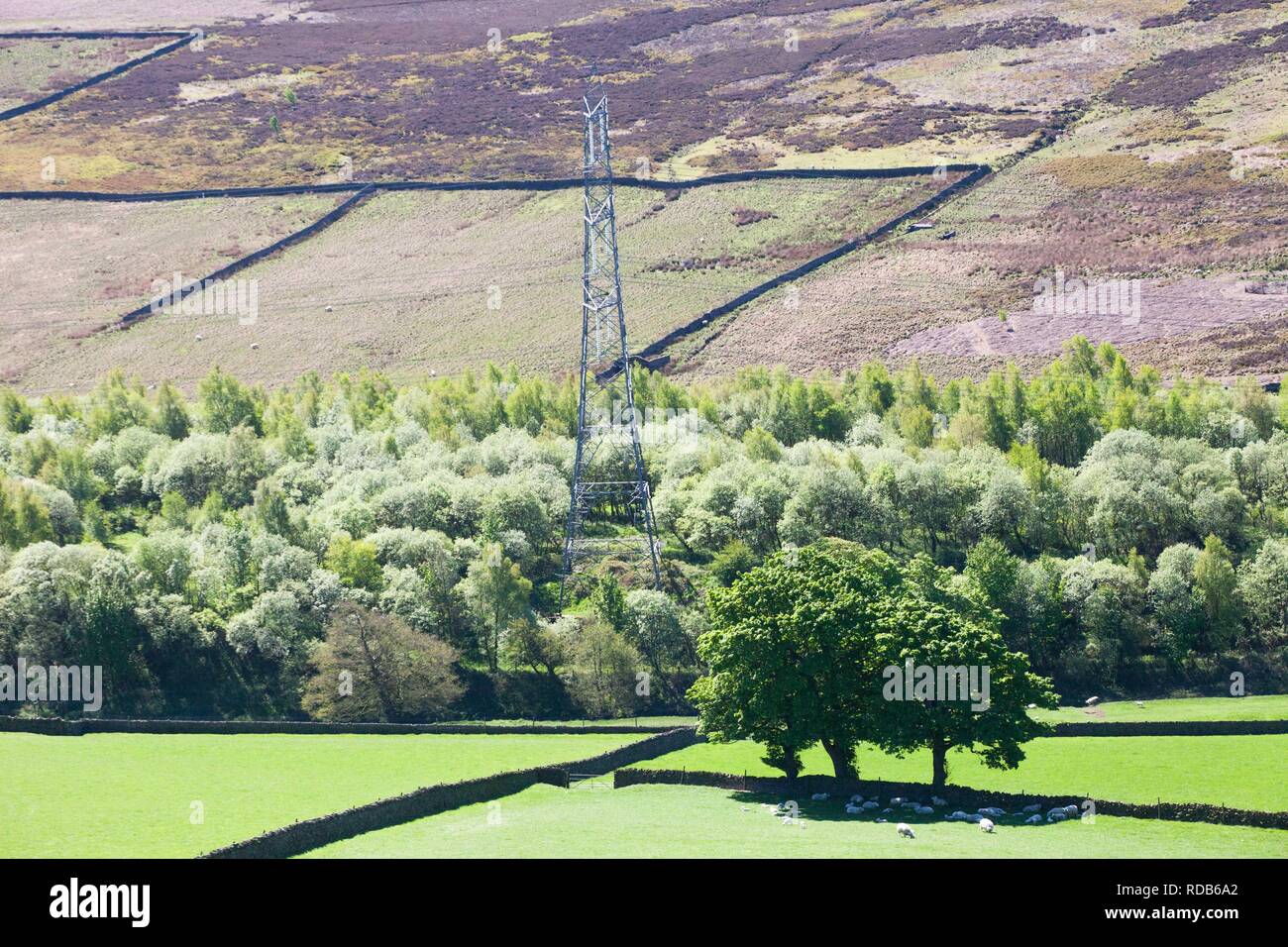 Electricity pylons , due to removed with the power lines put under