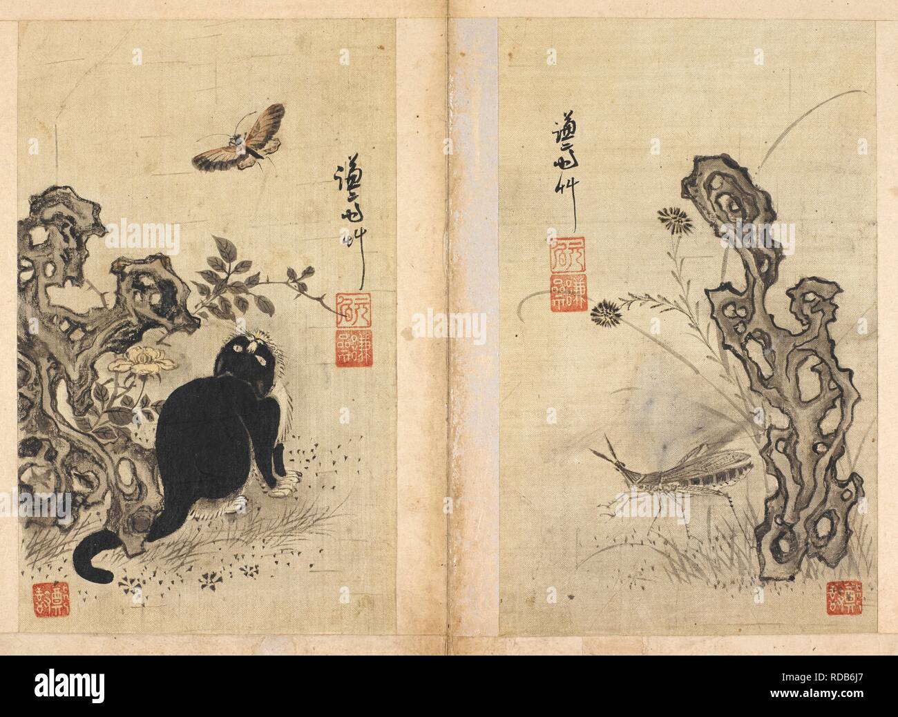 A cat looking up at a butterfly. An insect (grasshopper?) and plant. Kyomjae hwachâ€™op. [Album of paintings by Kyomjae [i.e.Chong Son]]. 18th century ?. Album of 16 paintings attributed to the Korean artist Chong Son (1676â€“1759). Source: Or.14391 p.5v - 6. Stock Photo