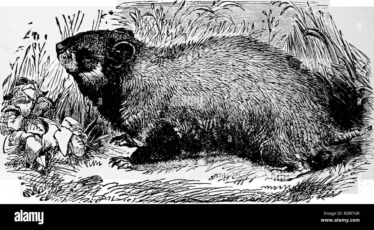 Captured correctly Black and White Stock Photos & Images Alamy