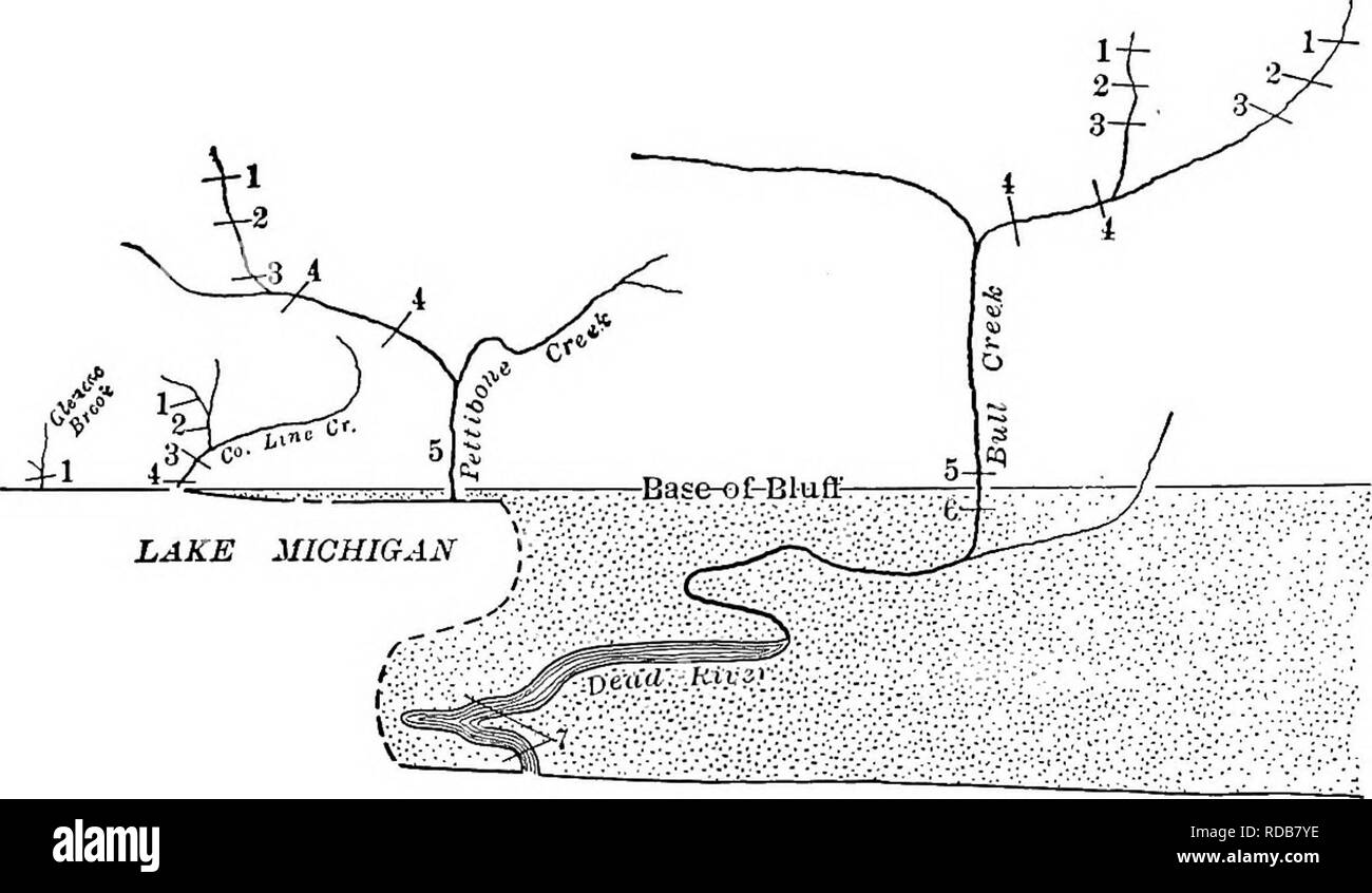 Freshwater Lake Diagram