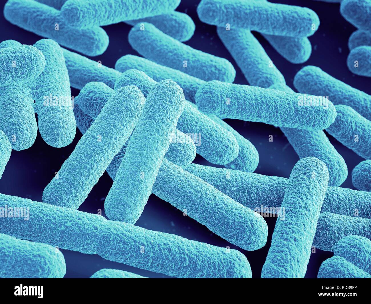 Bacteria close up Stock Photo
