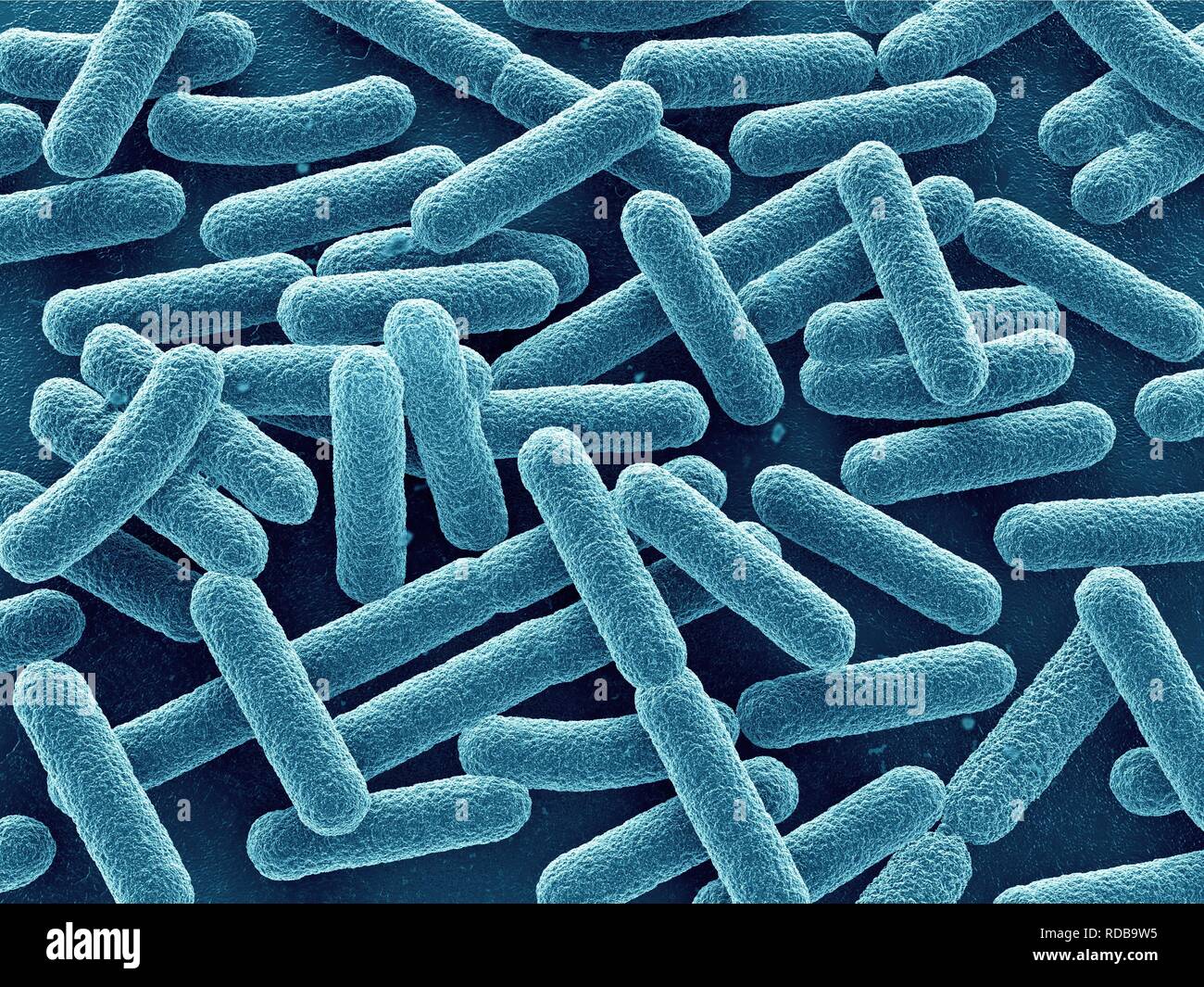 Bacteria close up Stock Photo