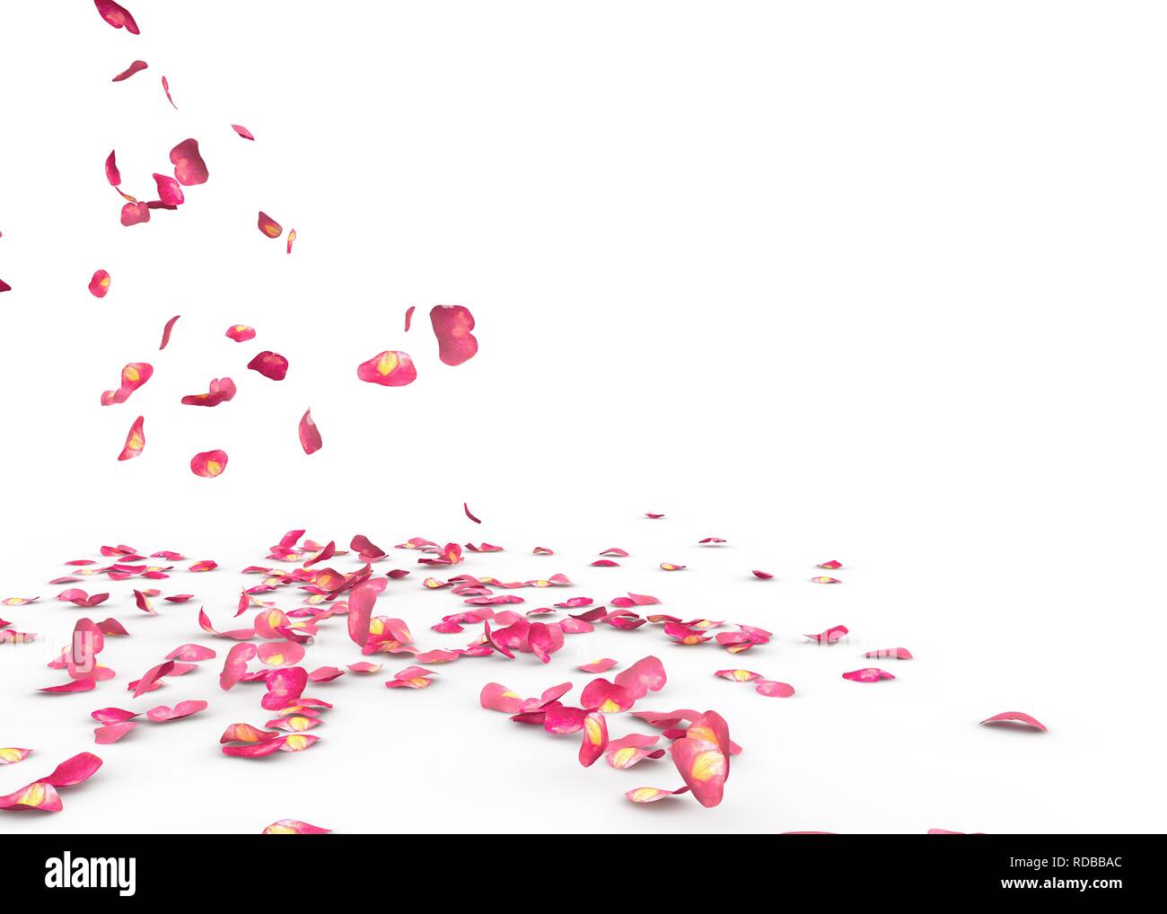 Дорога из лепестков роз. Лепестки роз лежат. Разбросанные цветы. Лепестки роз в руках. Лепестки роз.