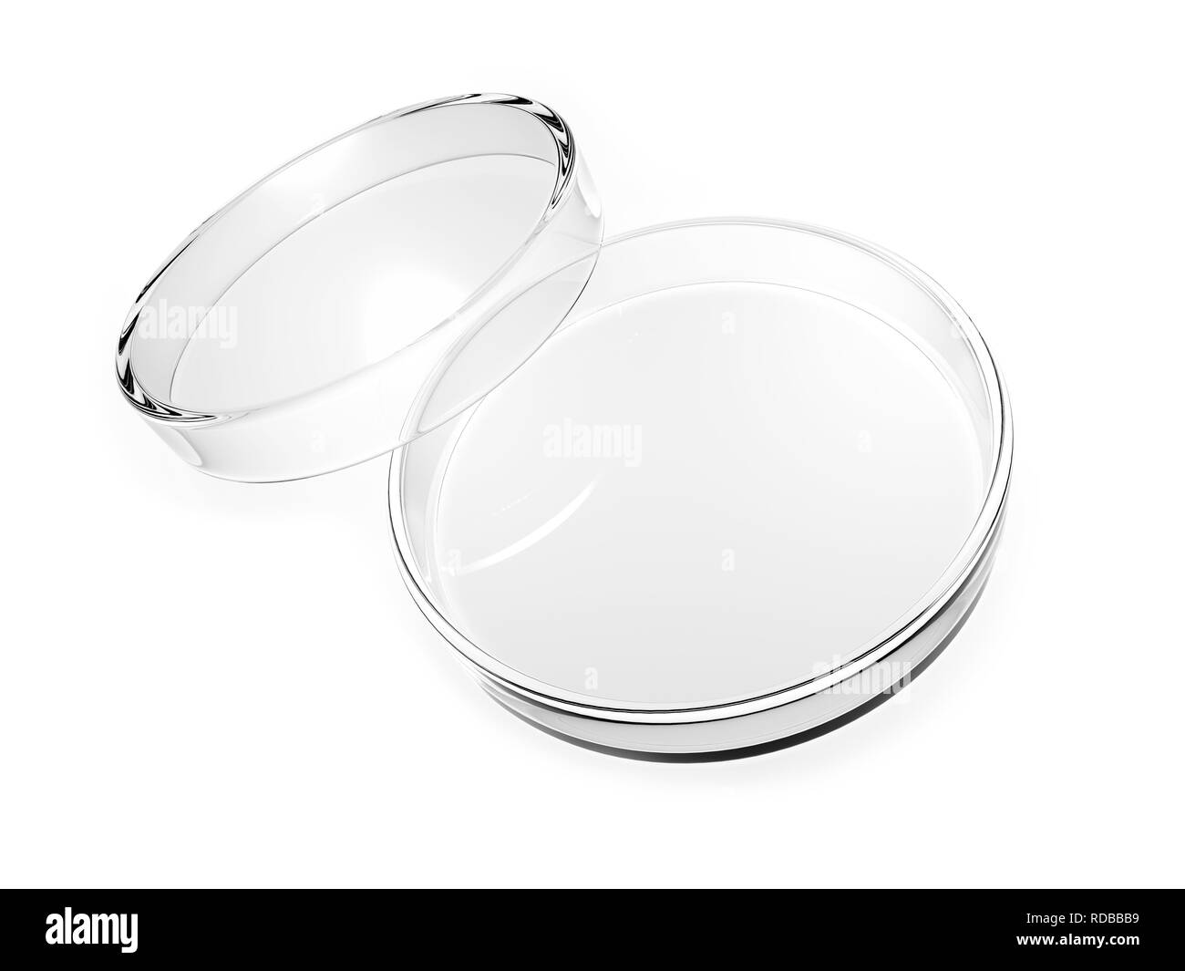 Petri plate hires stock photography and images Alamy