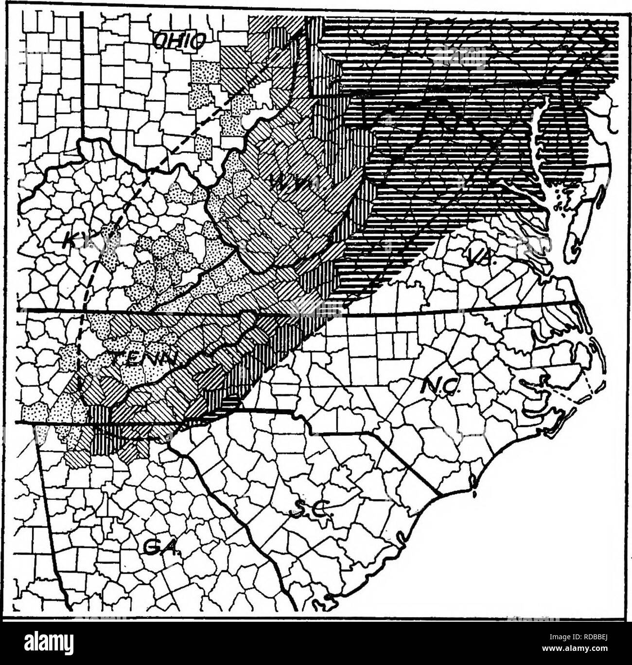 . Chestnut blight. Chestnut blight; Chestnut. Chestnut Blight in the