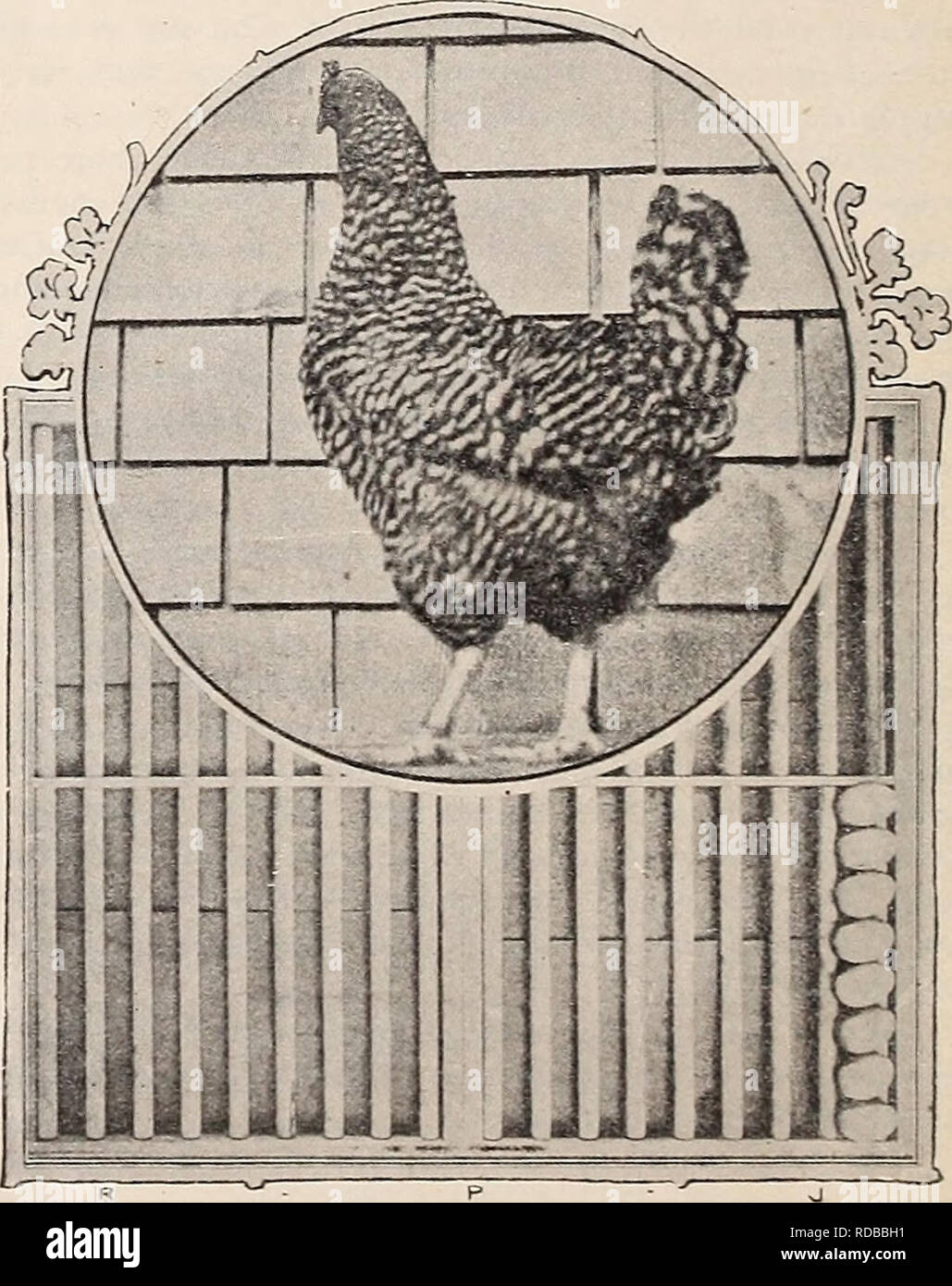 . Eggs and egg farms : Trustworthy information regarding the successful production of eggs--the construction plans of poultry buildings and the methods of feeding that make egg farming most profitable ... Poultry; Eggs Production. 1âA GOOD DOZEN FirstâThe consumer entertains doubt as to the qualitj' of the goods, but â will buy an increased amount if convinced that the article is just what is wanted. Did you ever see a man taking breakfast in a hotel, supremely satisfied that the egg in front of him was perfectly- fresh? There is always a doubt of it. Yet good prices are paid for this delicacy Stock Photo