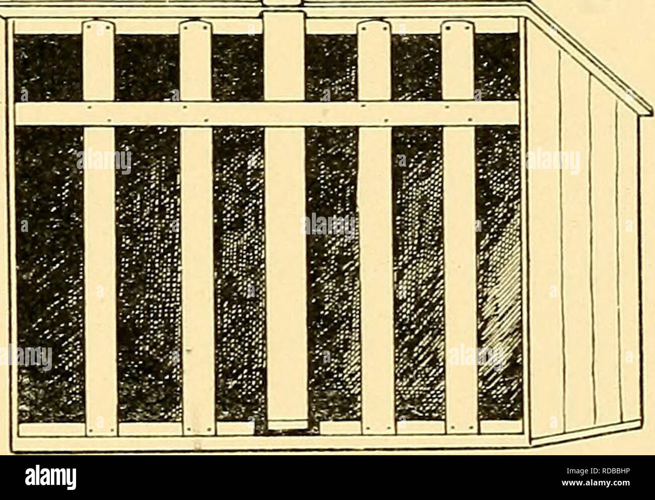 Egg And Poultry Raising At Home Poultry Eggs Some Houses And