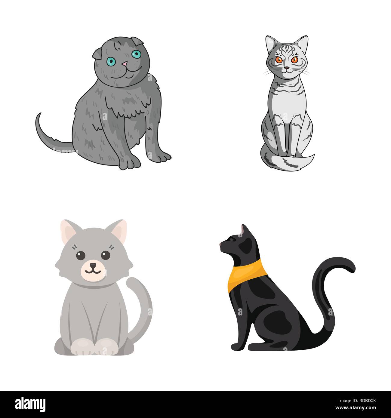 cat cute pet animal kitten funny icons set vector