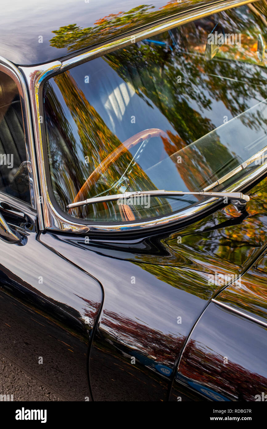Black E Type Jaguar car abstract under autumn trees at Bicester heritage centre, Oxfordshire, England Stock Photo