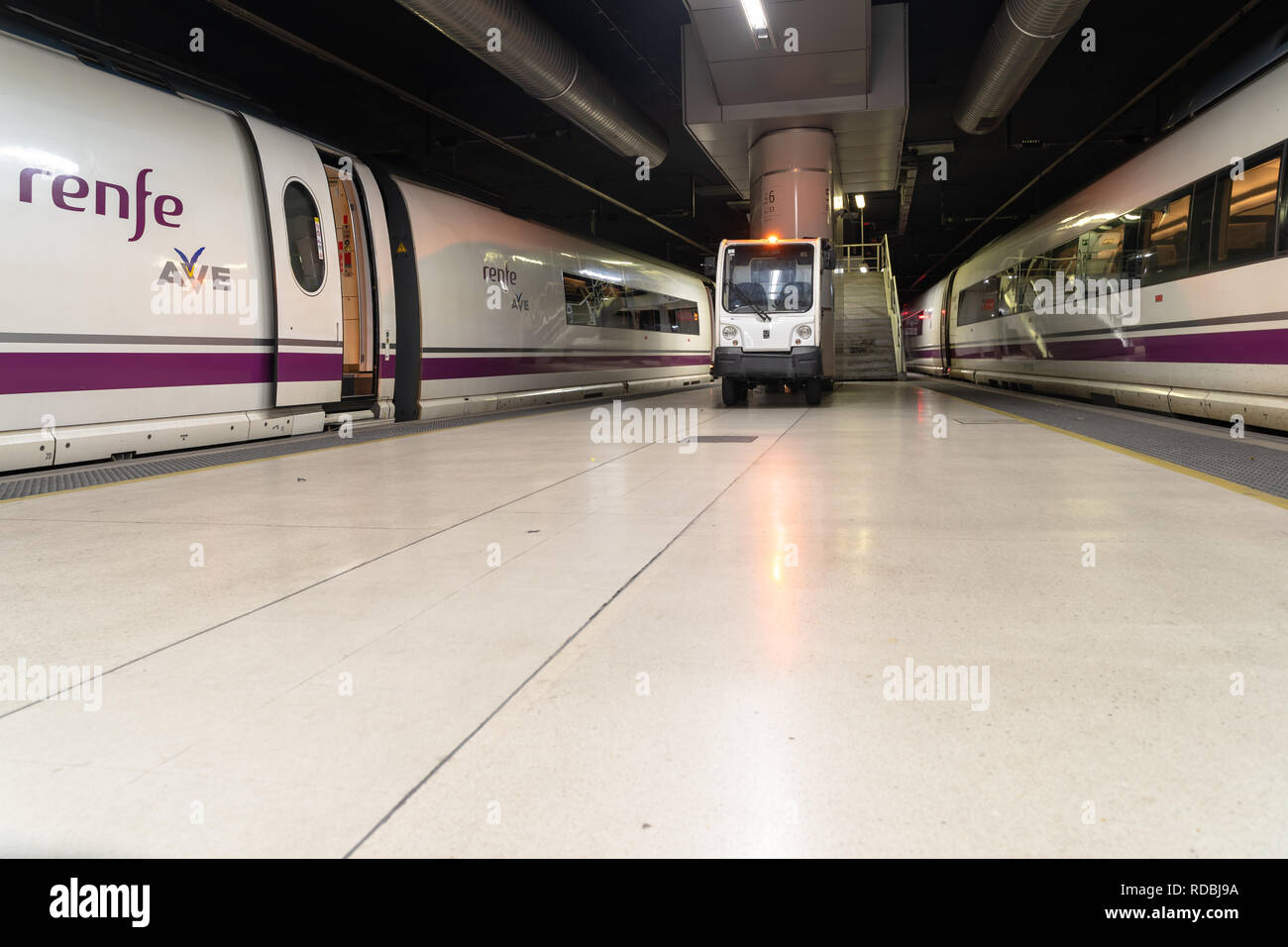High speed train Ave with a open door parked on platform of the