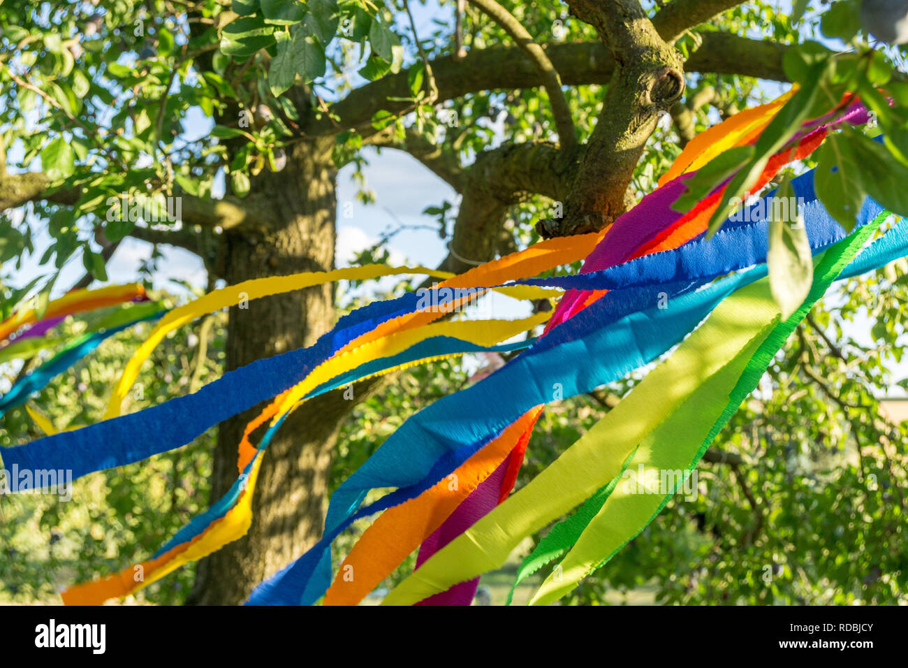 colorful strips or bands at a tree in the garden - concept image of a garden pary Stock Photo