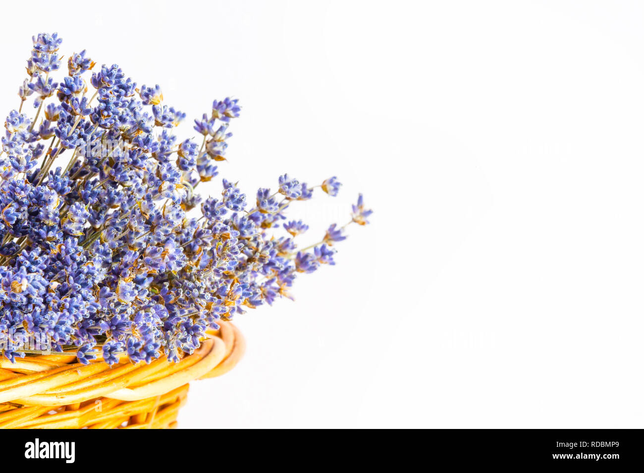 Bunch of dry wild mountain lavender flowers in basket on white background Stock Photo