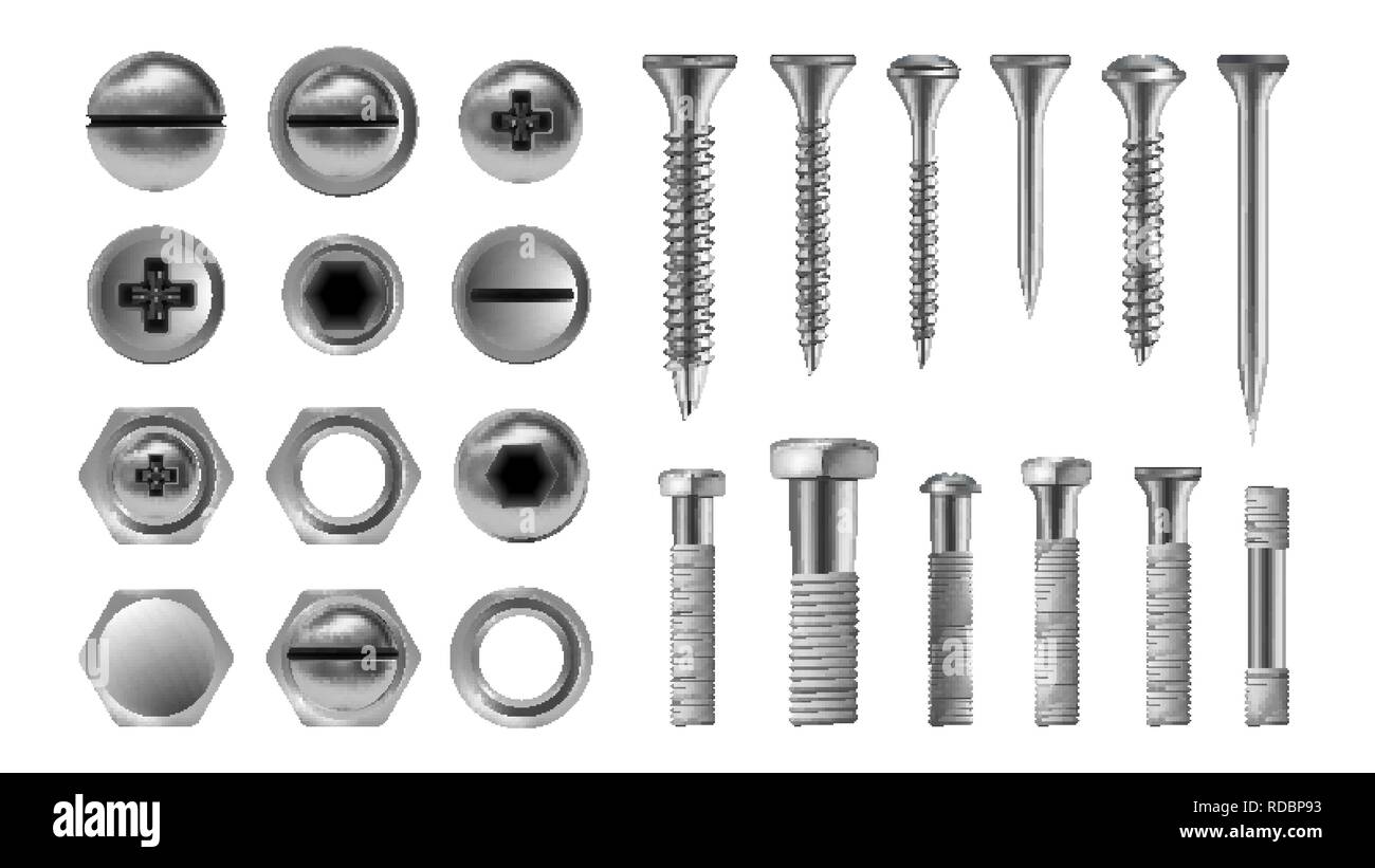 Metal Screw Set Vector. Stainless Bolt. Hardware Repair Tools. Head