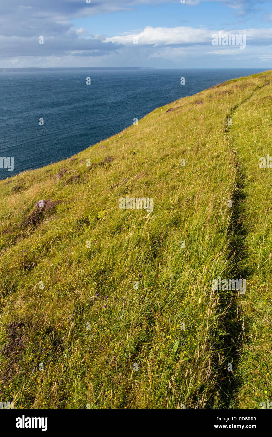 Coastal path on a steep cliff by the Atlantic Ocean, Isle of Lewis, Outer Hebrides, Scotland, UK Stock Photo