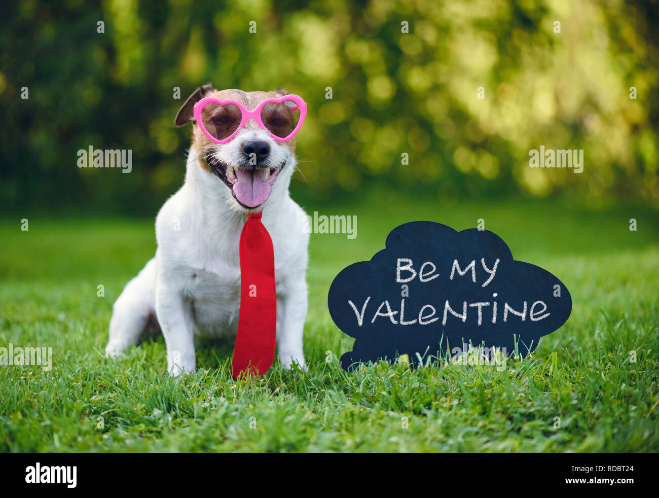 Animal heart hires stock photography and images Alamy