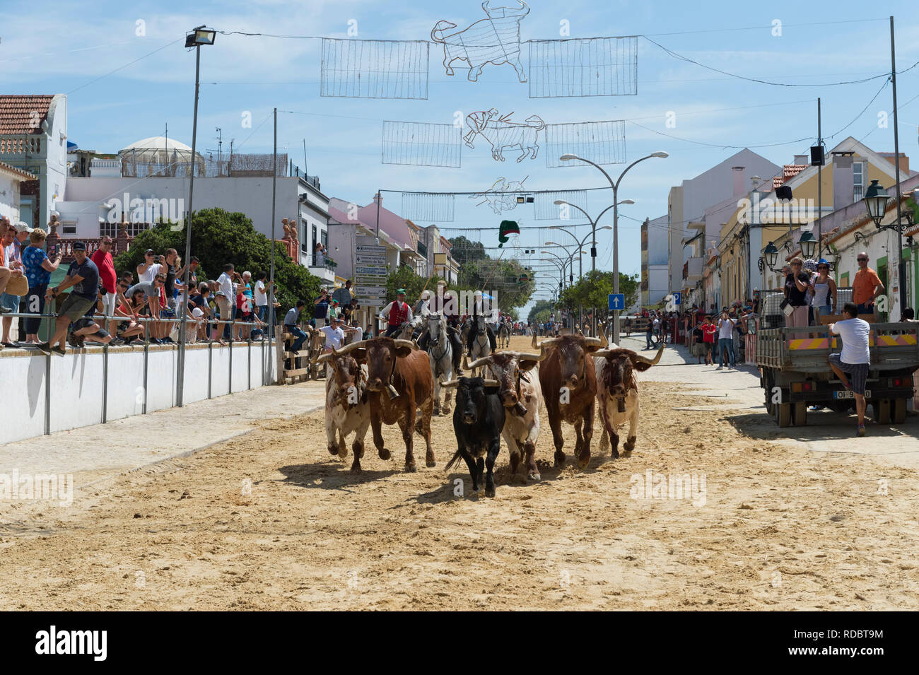 Parade of Horsemen and bulls in the streets during the Festas do Barrete Verde e das Salinas, Alcochete, Setubal Province, Portugal Stock Photo