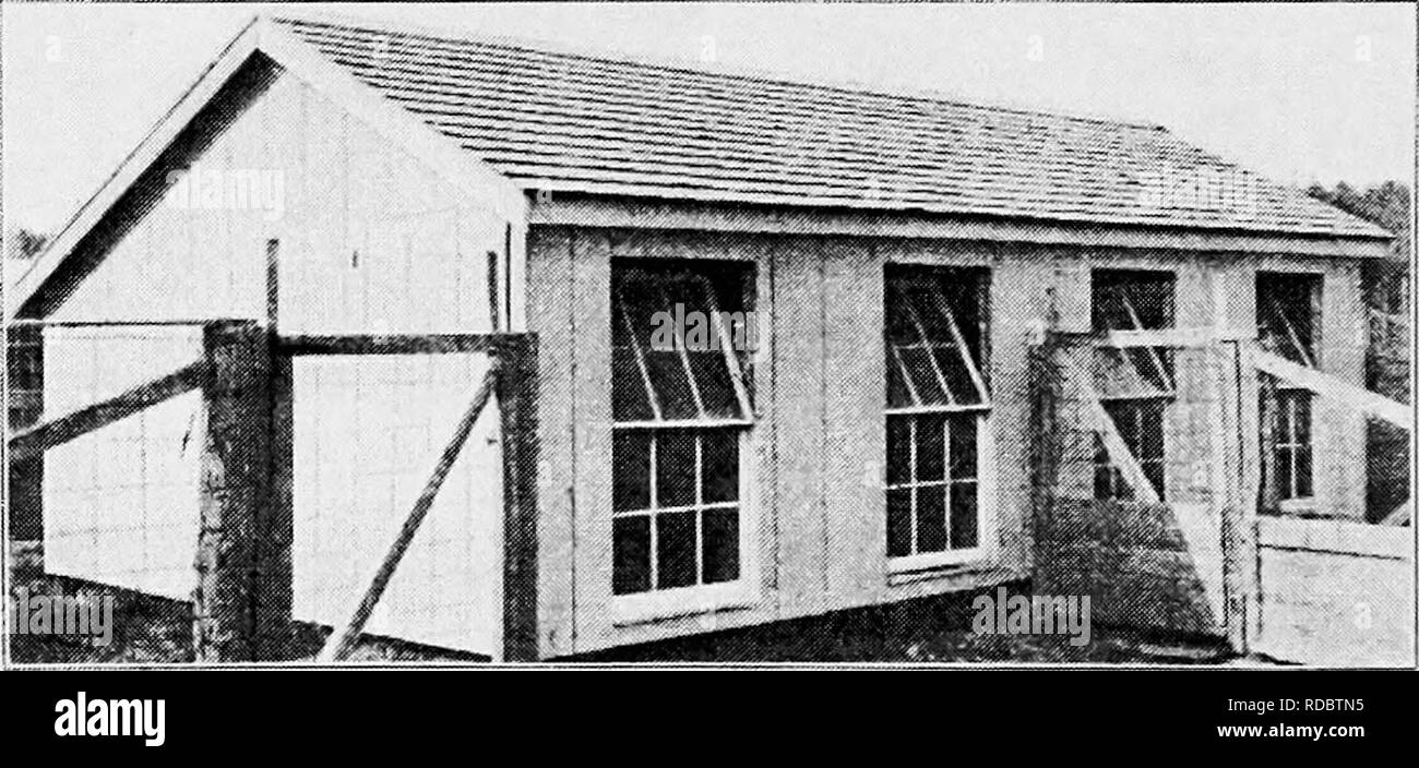 Brooder house hires stock photography and images Alamy