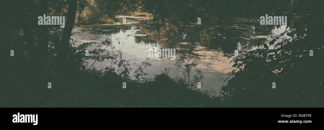 Lake And Forest Countryside Autumn Season Banner For Design